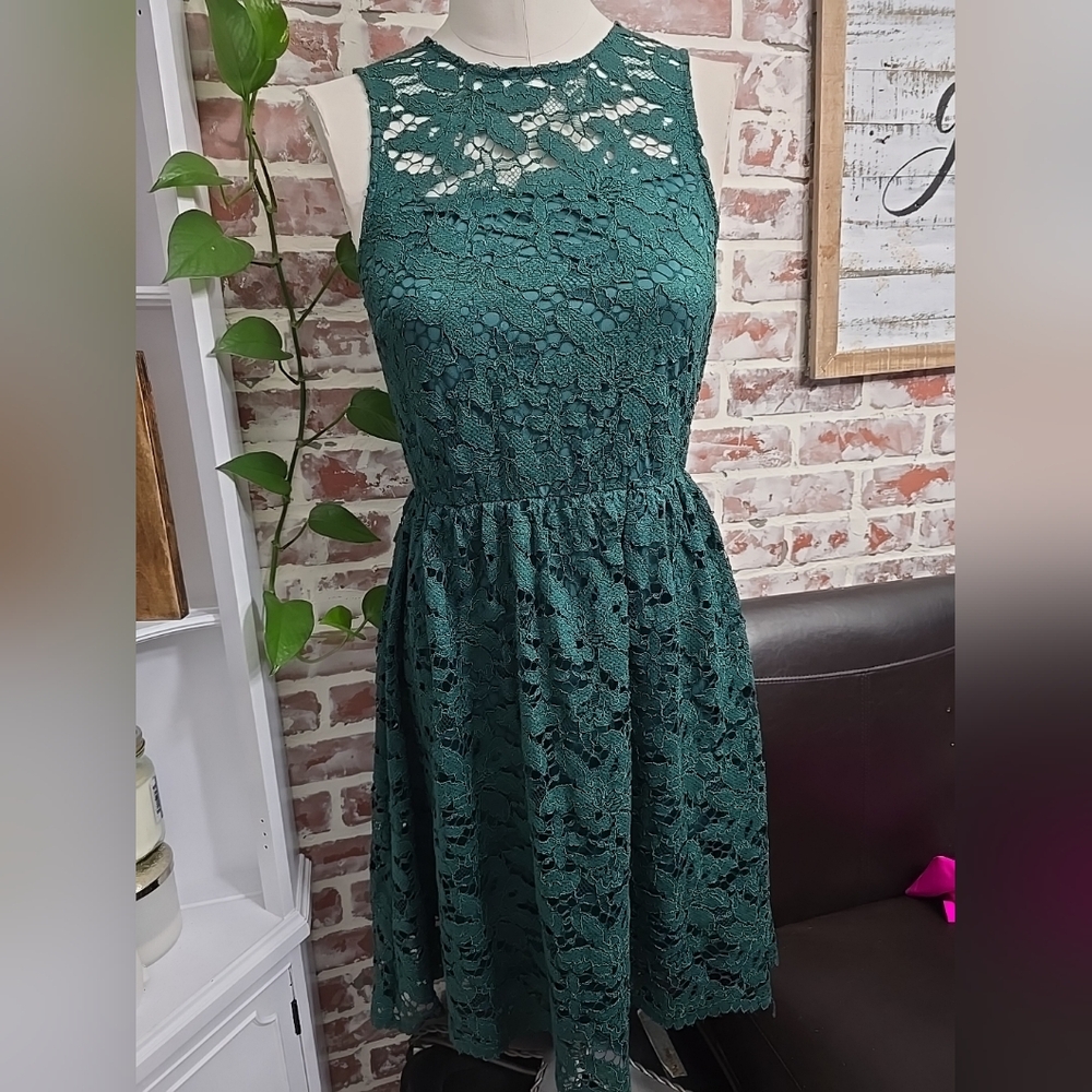 Wendy Bird Womens Lace Dress sz 4